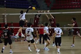 NBA每日最佳：爱德华兹44分赛季新高，SGA38分带队13连胜